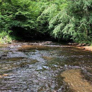 Meet your Posher, Ty